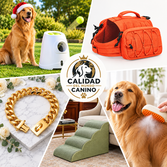 Accesorios para perros