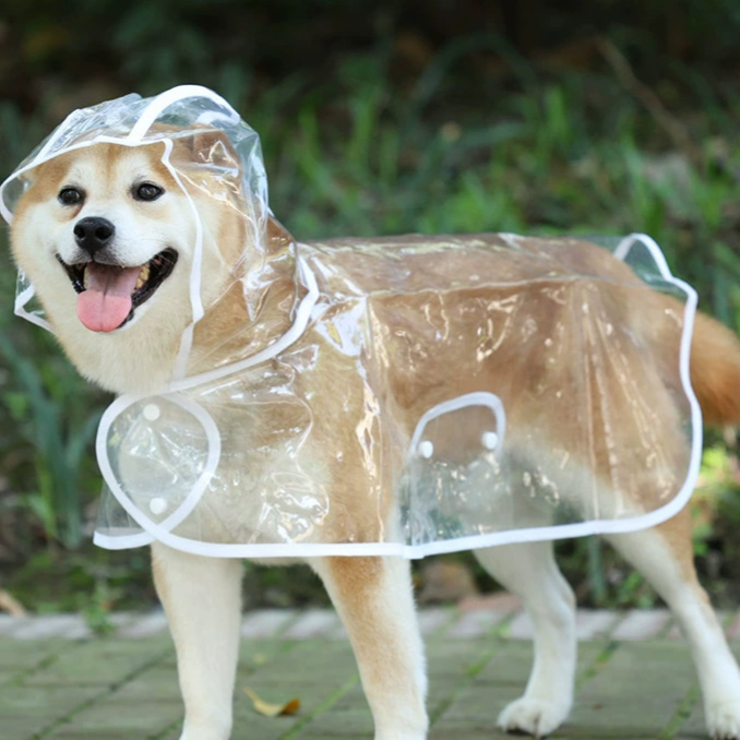 Transparent pet dog raincoat