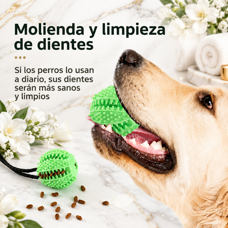 Juguete Pelota con Ventosa y Premios para Limpiar Dientes de Perro
