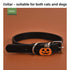 Collar de Perro Halloween Calabaza