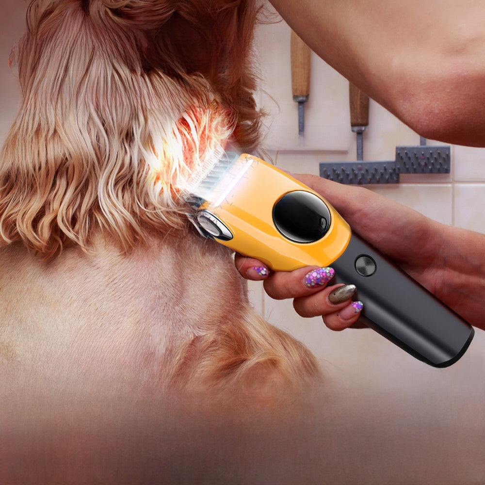 Pet Dog Shaving