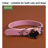 Collar de Perro Halloween Calabaza