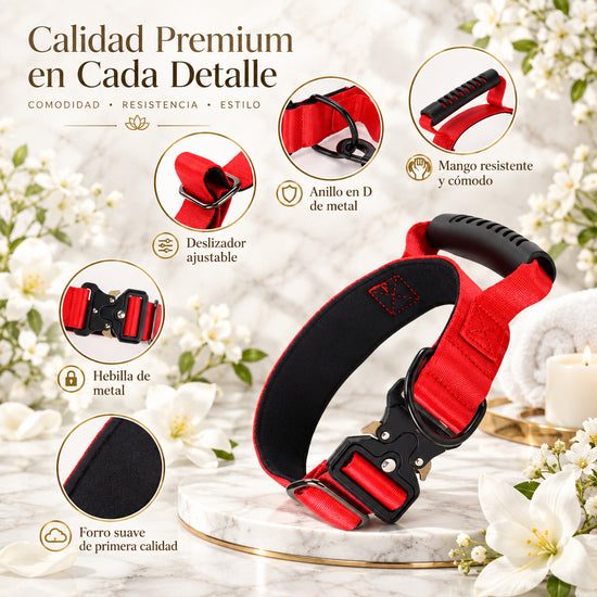 Collar de Adiestramiento para Perros de Raza Grande