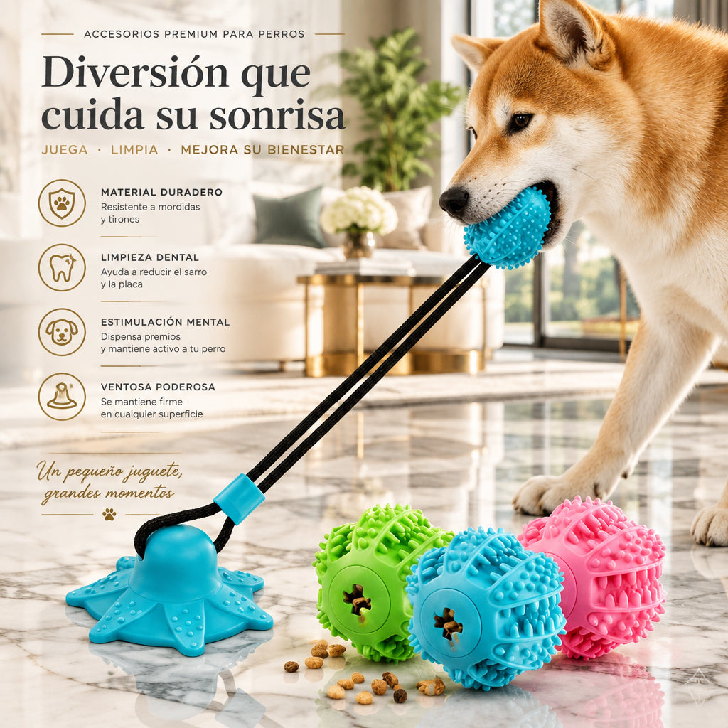 Juguete Pelota con Ventosa y Premios para Limpiar Dientes de Perro