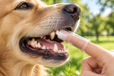 cepillo de dientes silicona para mascotas