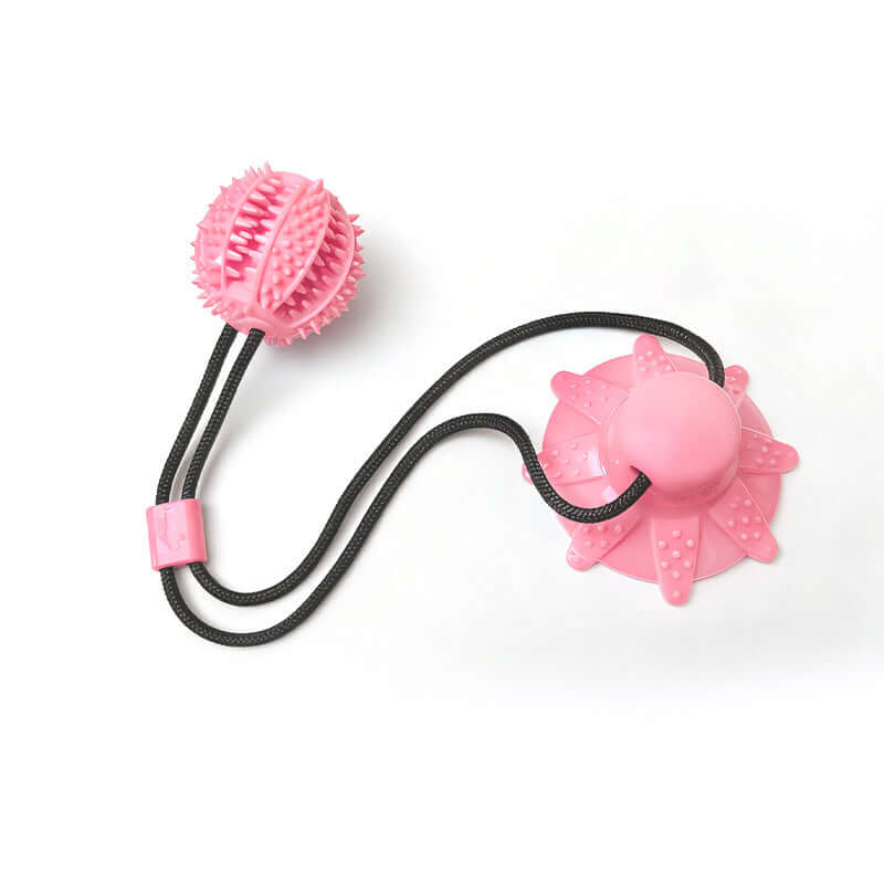 Juguete Pelota con Ventosa y Premios para Limpiar Dientes de Perro