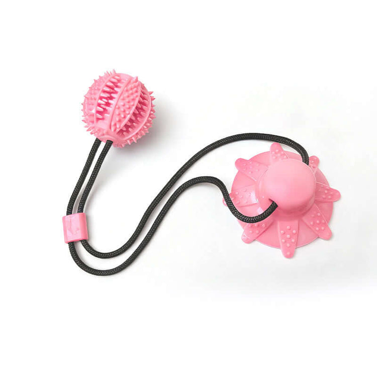 Juguete Pelota con Ventosa y Premios para Limpiar Dientes de Perro