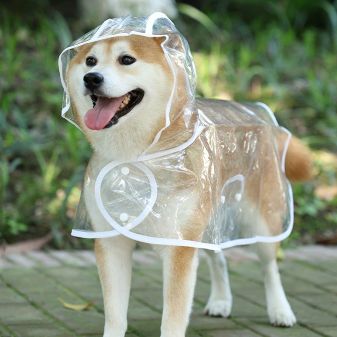Transparent pet dog raincoat