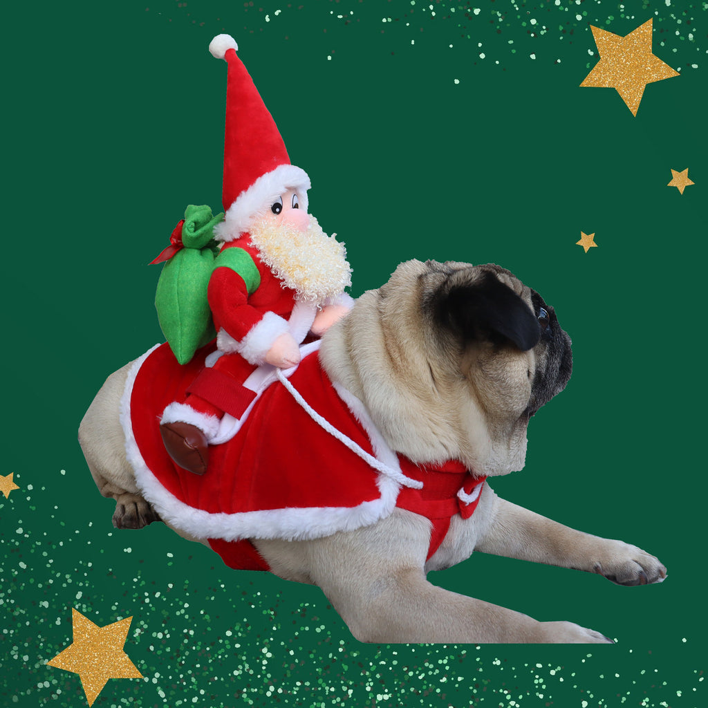 Pet Dog Christmas Santa Costume