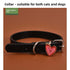 Collar de Perro Halloween Calabaza