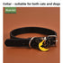 Collar de Perro Halloween Calabaza