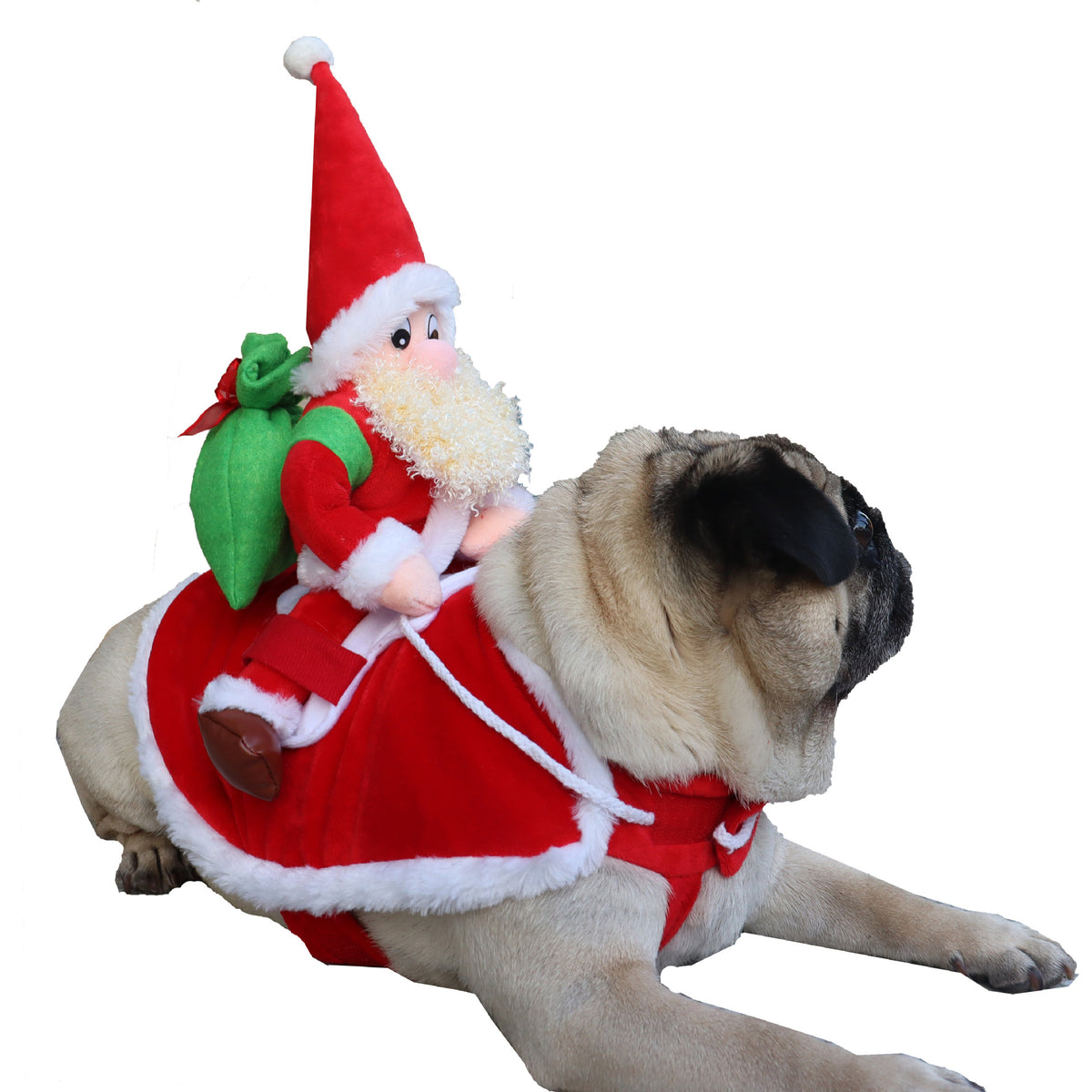 Pet Dog Christmas Santa Costume