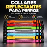  varios colores Collar Led