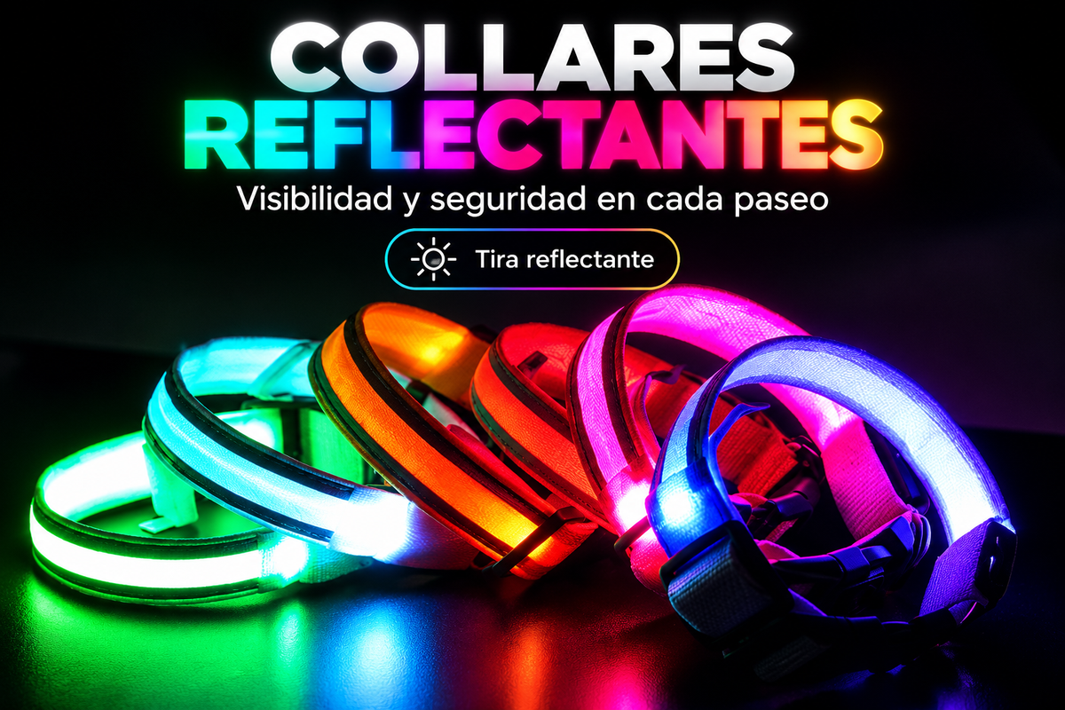  arcoirisCollar Led