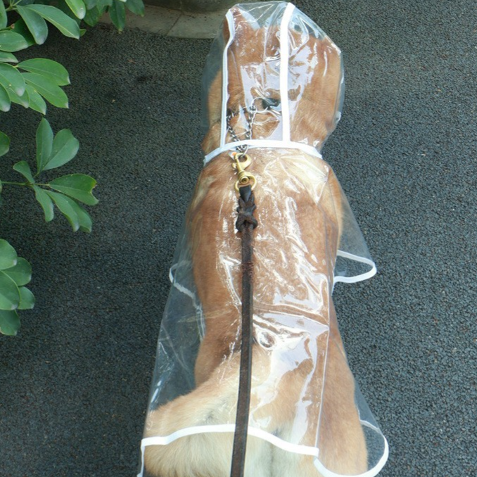Transparent pet dog raincoat
