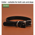 Collar de Perro Halloween Calabaza