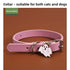 Collar de Perro Halloween Calabaza