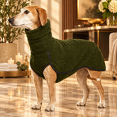 chaleco terciopelo perro elegante