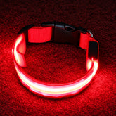 Collar Led rojo