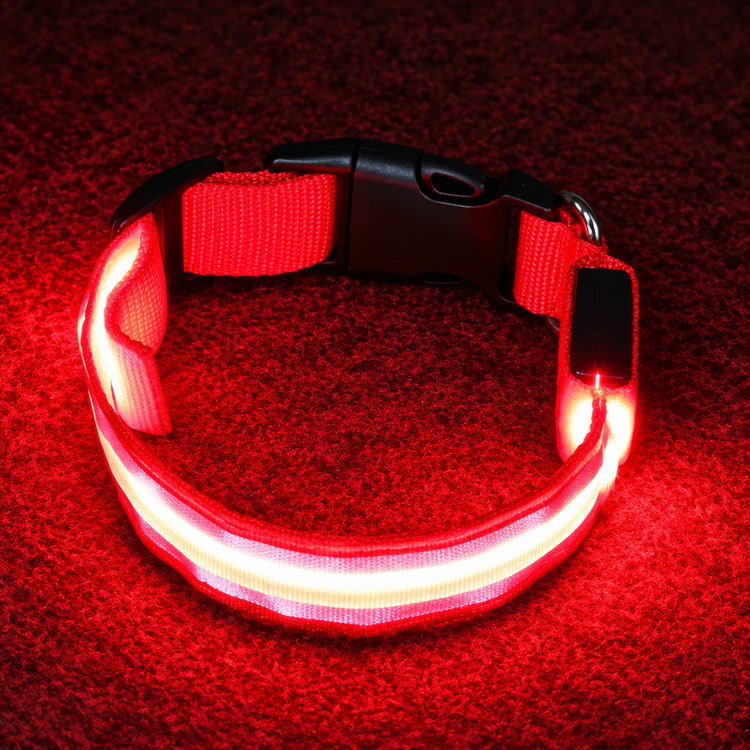 Collar Led rojo