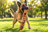 juguete de peluche sonoro para perro