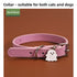 Collar de Perro Halloween Calabaza