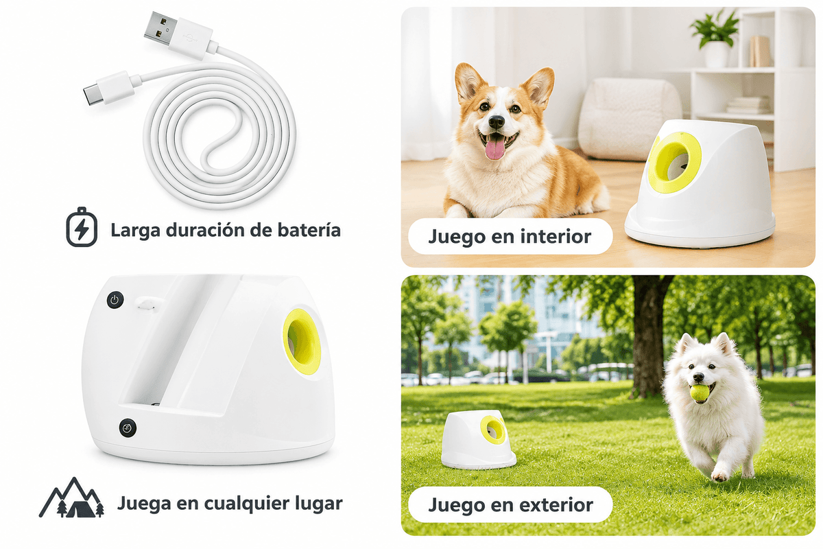 Lanzador Automático de Pelotas para Perros