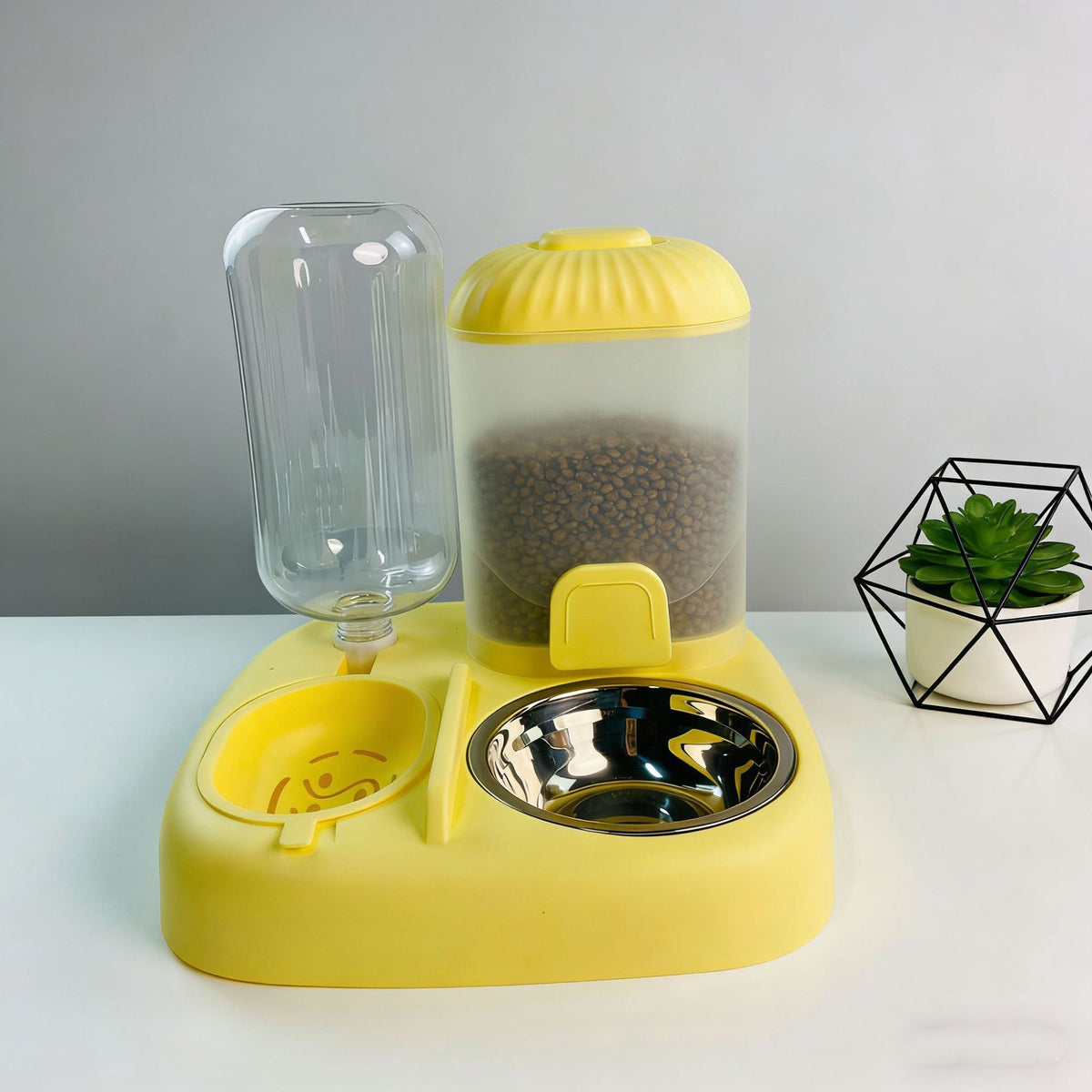 Stainless Steel Cat and Dog Food Bowl