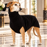 chaleco terciopelo perro elegante