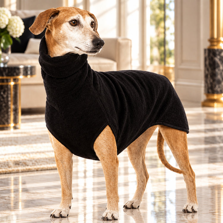 chaleco terciopelo perro elegante