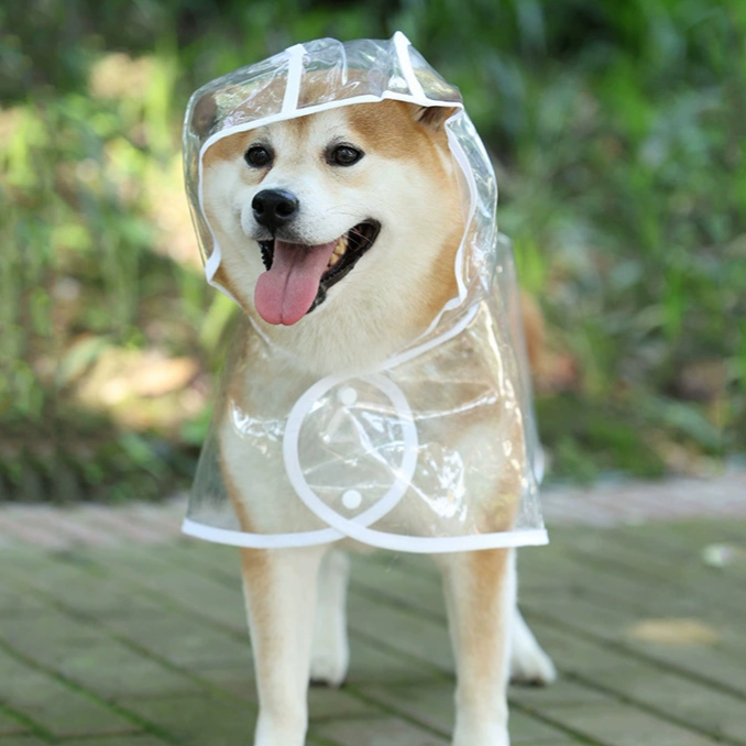 Transparent pet dog raincoat