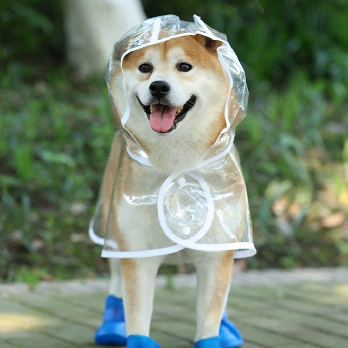 Transparent pet dog raincoat