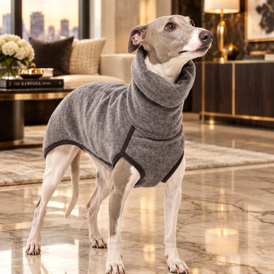 chaleco terciopelo perro elegante
