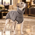 chaleco terciopelo perro elegante